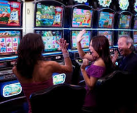 新普京com免费版