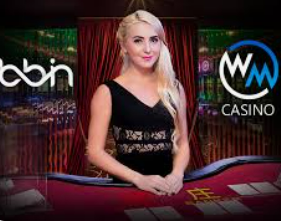 新普京com免费版